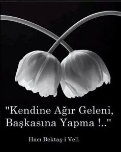 a886e69a5badc4c15ff446c12f22d1ff