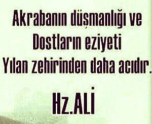 51e524432e818a59d12be7e0937556af