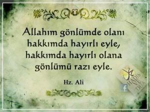 97c7163262159c9e927e3573d25de0e9