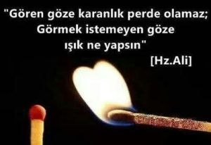 99ee0e904b93986109026b2596fda22d