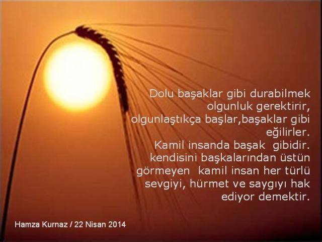 12931121_10207894962046119_3220959619226752256_n